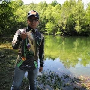 Meet your Posher, Max